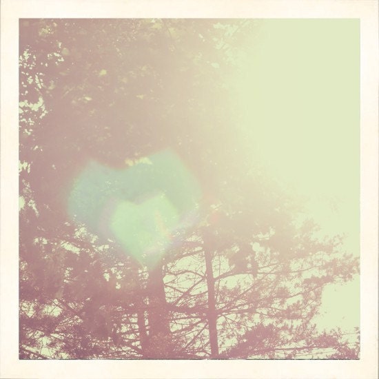 Whimsical Nature Photography - Pure at Heart 5x5 Photograph - heart bokeh sunlight fresh vintage style emotional photo - gift for her