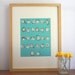 Turquoise Alphabet Nursery Art Print, Kids Room Decor, Owlphabet, Nursery Art, Boys Room Decor - Free US Shipping