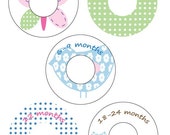 Custom Closet Dividers - HAYLEY