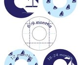 Custom Closet Dividers - WILLIAM