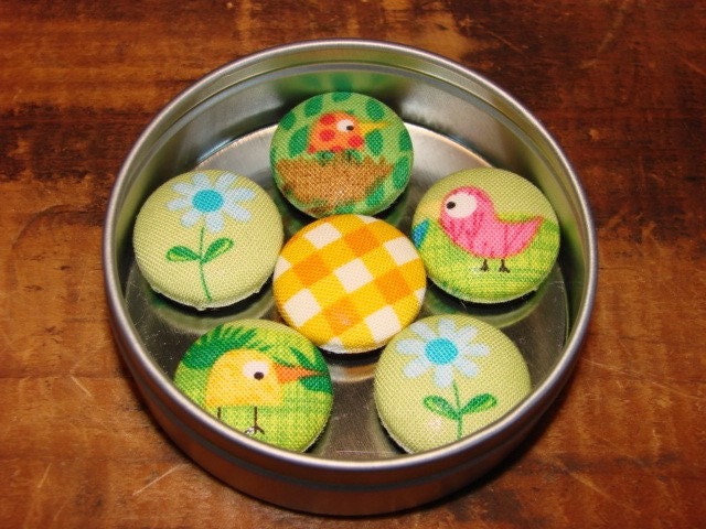 Colorful Birds on Green Magnets