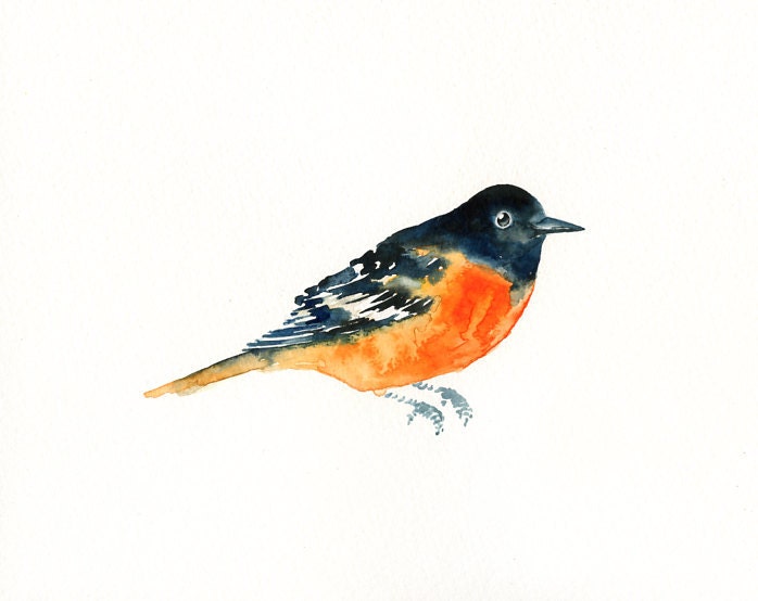 BALTIMORE ORIOLE by DIMDI Original watercolor painting 10x8inch