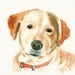 CUSTOM of your PET by DIMDI Original watercolor painting 8X10inchxxxxAll the animals that you wantxxxx