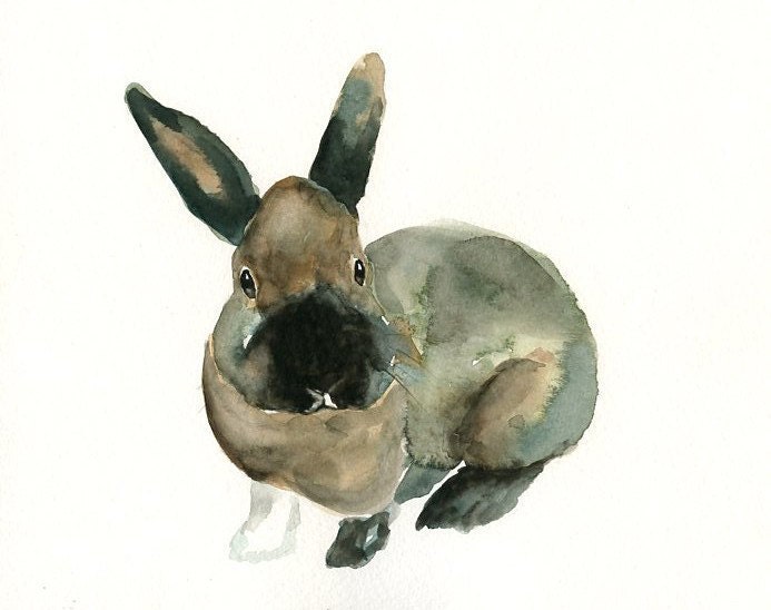 custom of your BUNNY by DIMDI Original watercolour painting 10X8inchxxxxAll the animals that you wantxxxx
