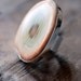 Sublunary Ring