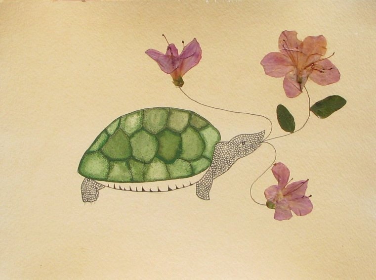 Naturalists Sketchbook Floral Turtle