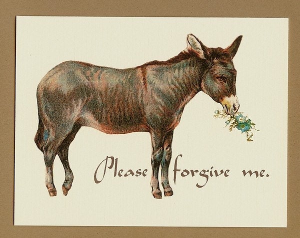 Sorry Card Donkey - Please forgive me, I feel like such an a - -