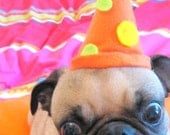PARTY HAT dog or cat fits all sizes - customize with your party colors