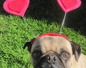 Valentines day HEART HAT for pets all sizes