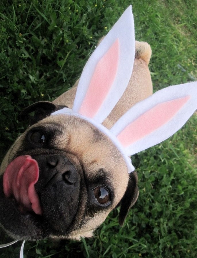 EASTER BUNNY ears dog or cat hat fits all sizes