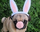 EASTER BUNNY with NOSE dog or cat hat - small / medium pets