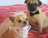 Halloween Pet Costume BRIDE and GROOM