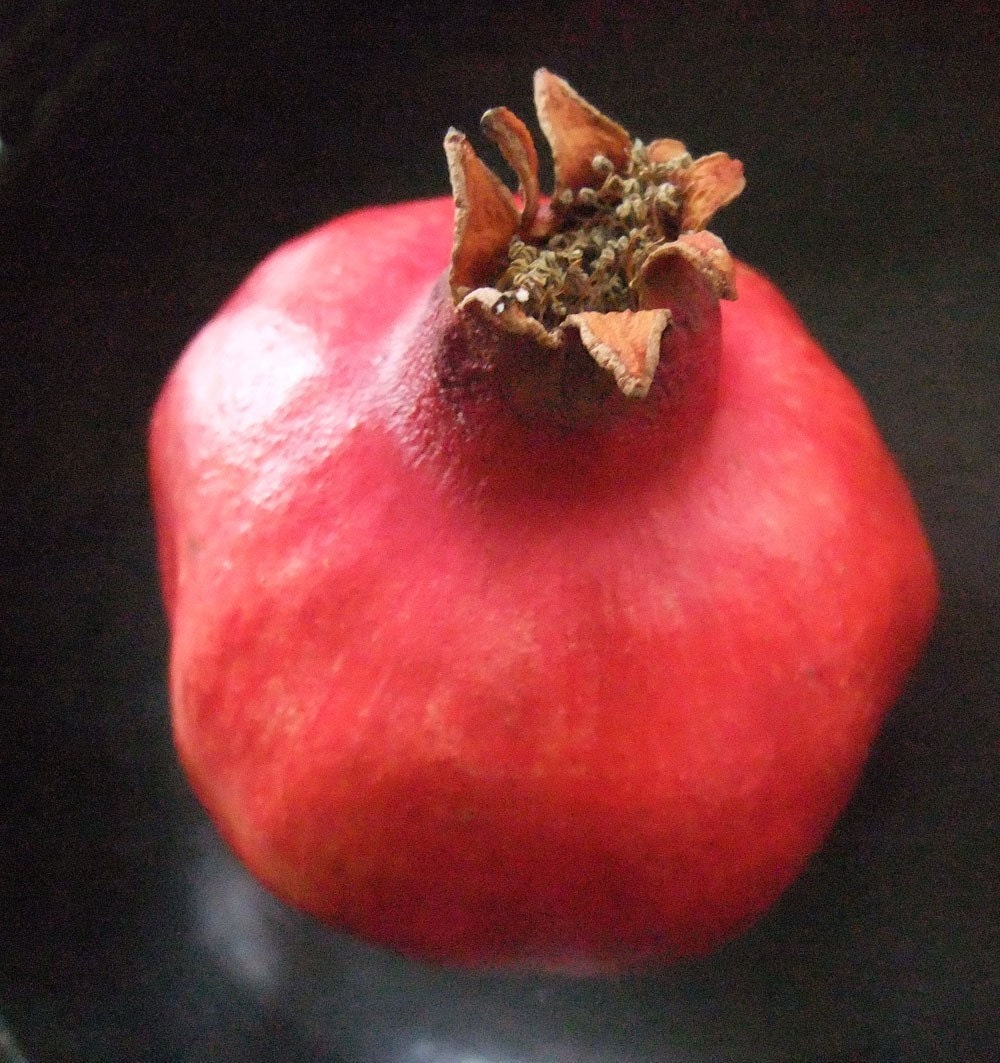 Pomegranate tree cushion in red on natural linen