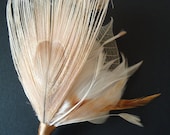 mens peacock feather boutonniere for the groom - cream dream