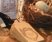 Thank You Tags Elegant Frame Set of 25