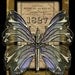 Crypto-Entomology Art Print by Brian Giberson - The Battlefly Medic
