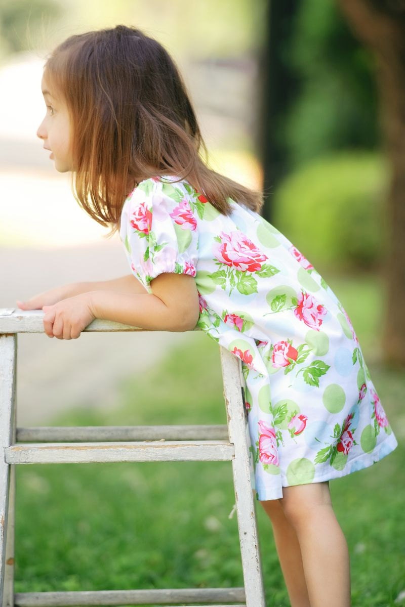Falling Roses Dress...  3m,6m,12m,18m,2T,3T,4T,5,6
