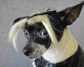 Lady Gaga hat for dog or cat