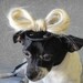 Lady Gaga hat for dogs or cats
