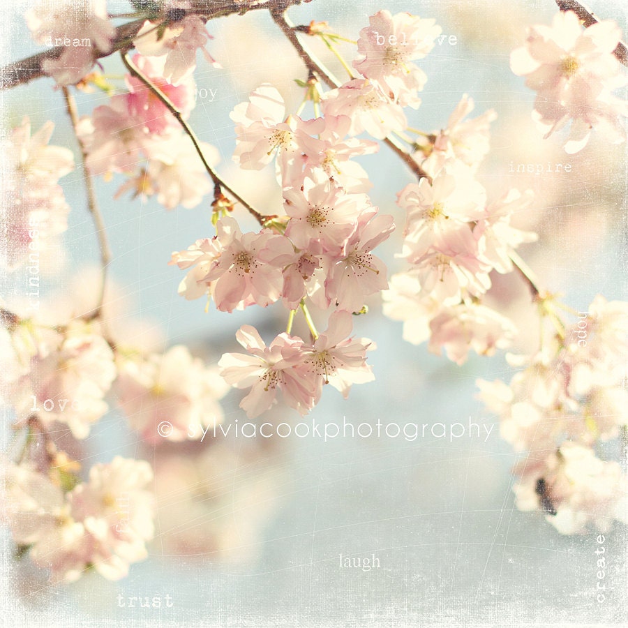 Shabby chic home decor "like a dream" fine art print, spring home decor, cherry blossoms, tree, floral photography, nature