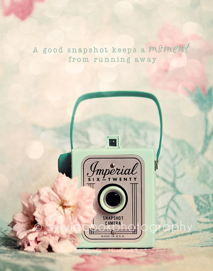 Shabby chic home decor "A good snapshot",  vintage Imperial camera PHOTOGRAPH, mint, pink, retro