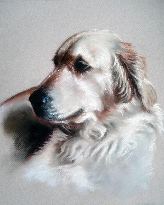 Custom Dog Portrait Painting Pet Pastel Art 11x14" Original Drawing by Kathy Keller Bauer