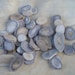 Deer Antler Slices- XSmall to Medium Sized- 150 Pieces