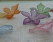 14 Frosted Orchids