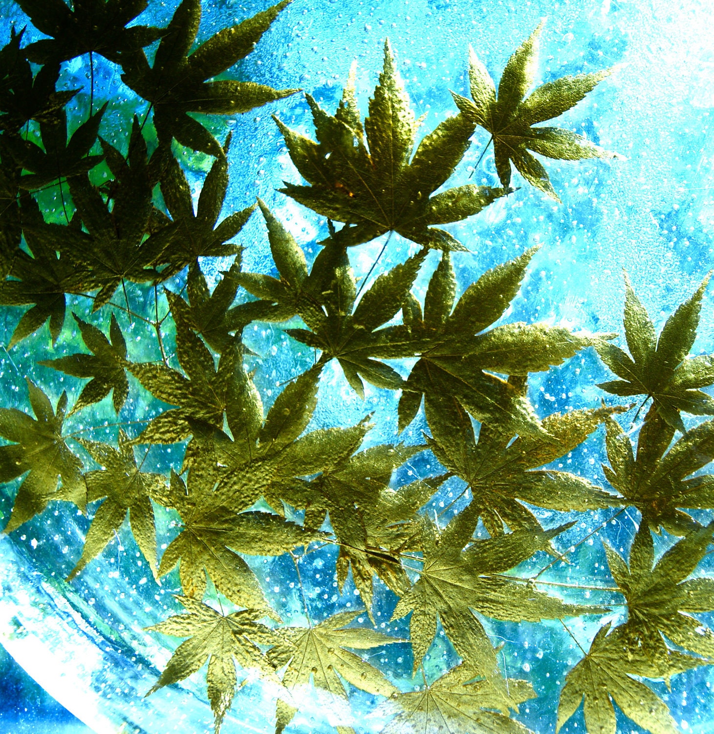 Resin Platter with Golden Maple Leaves - Vintage - ME