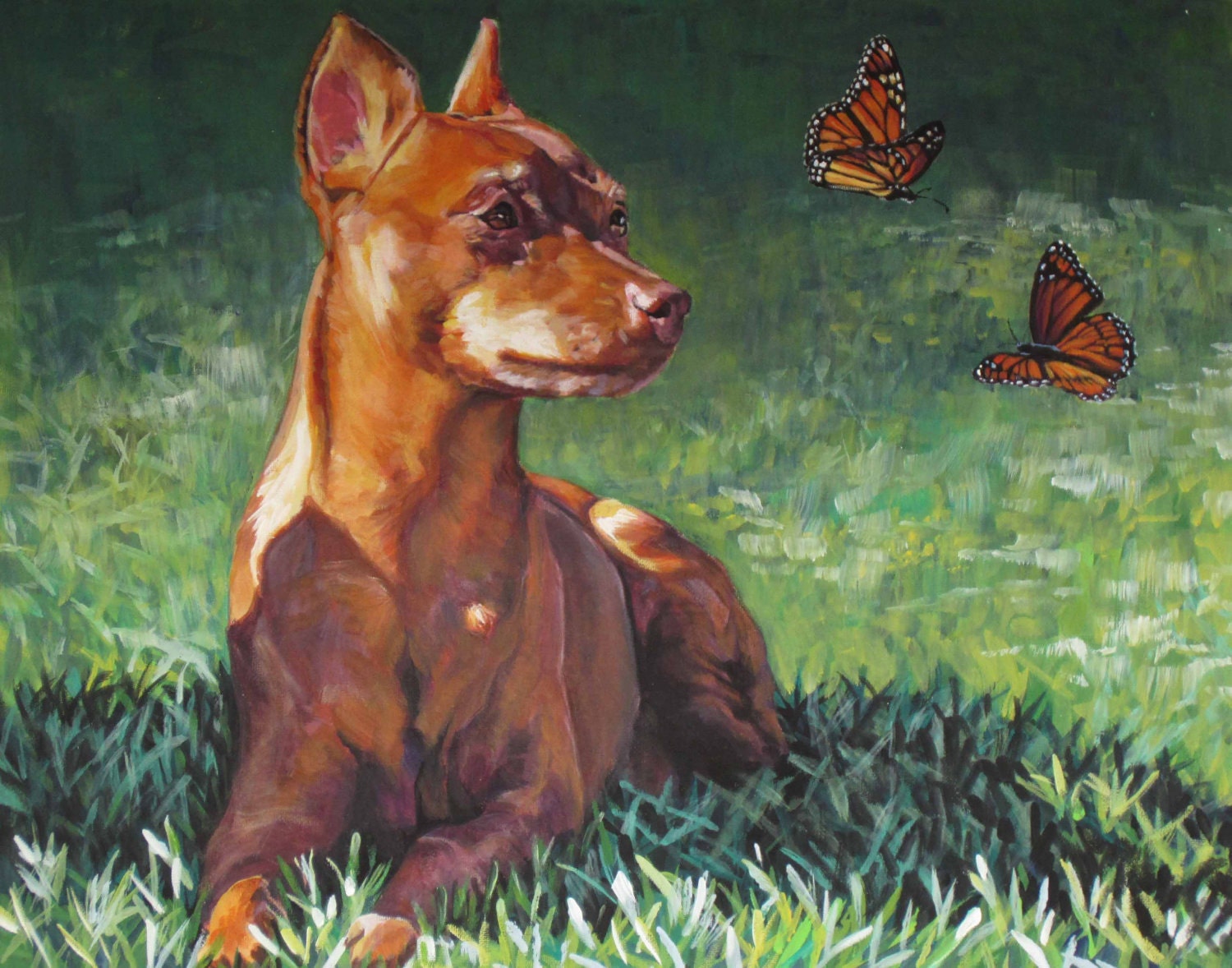 red Miniature Pinscher art print CANVAS print of LA Shepard painting 8x10