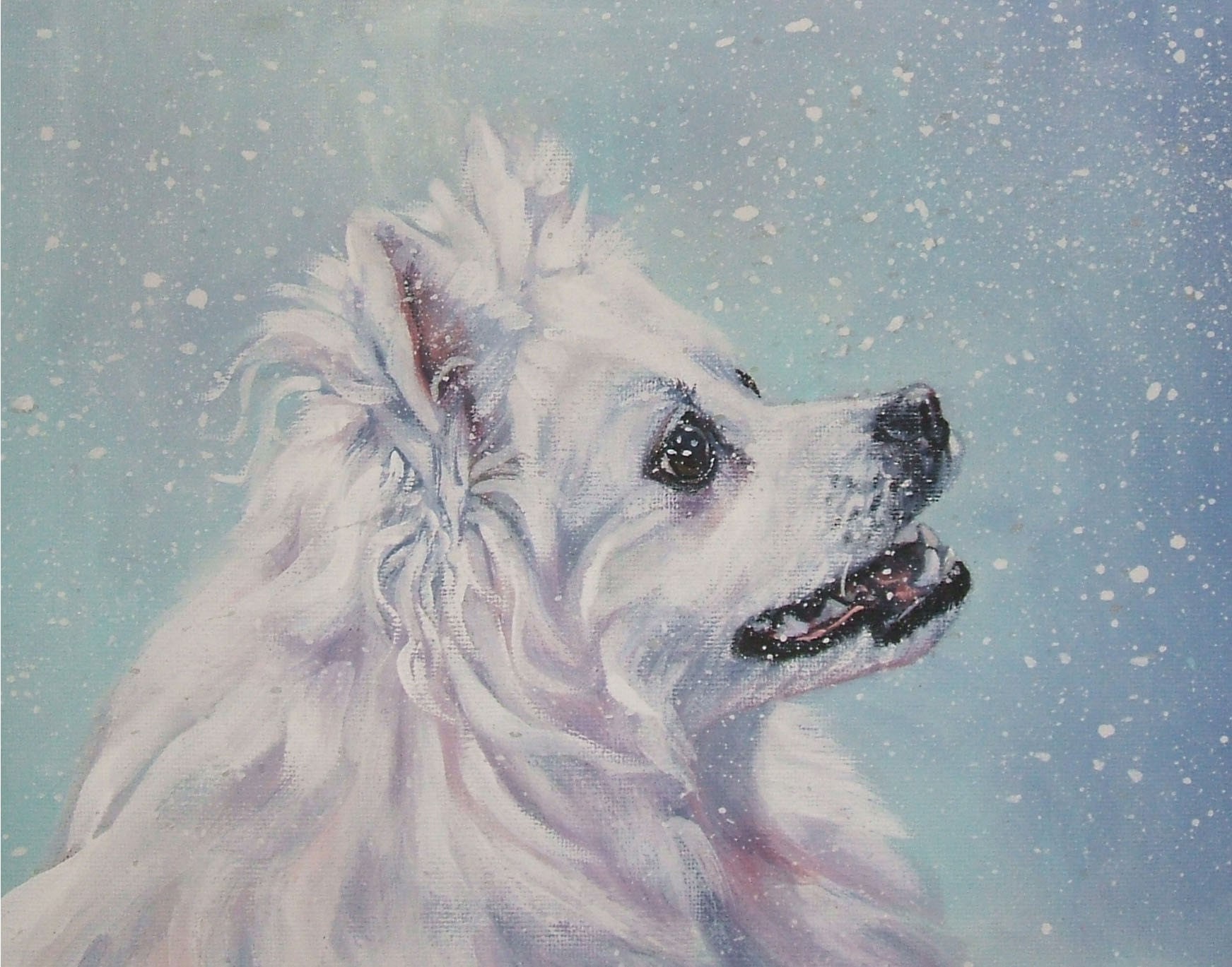 American Eskimo Dog art print CANVAS print of LA Shepard painting ...