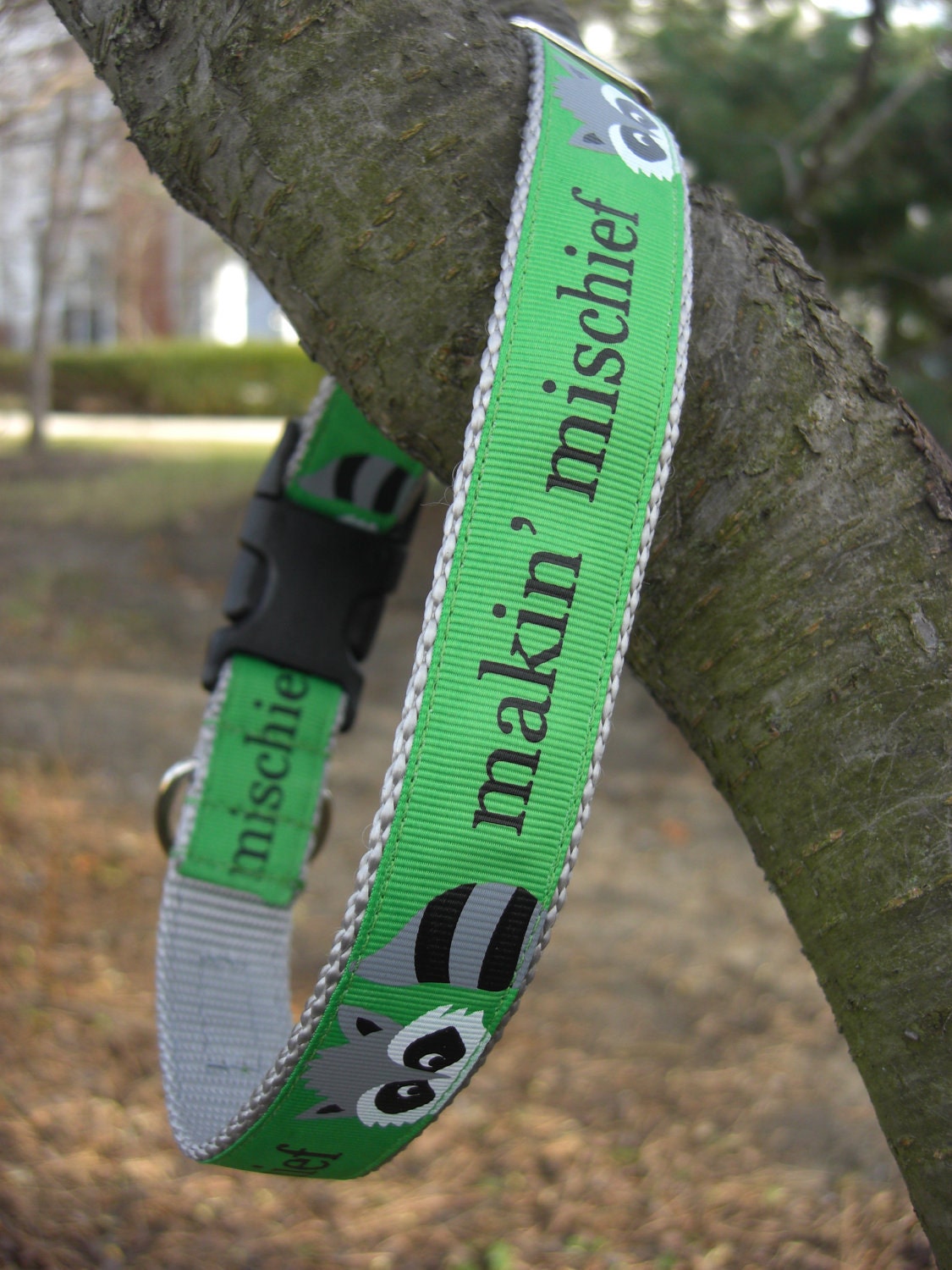 Raccoon dog collar -- Makin' Mischief
