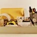 Vintage Wooden Cutlery Tray Desk Organizer with Chippy Gray Paint