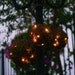 SET of 3 Outdoor Rustic Wedding Decoration Firefly Lightning Bug Lanterns (item M10118)