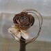 Natural Vintage Inspired Pine Cone Rose Wedding Pin Boutonniere Groom Groomsmen Natural Wood Twists Rustic CHIC weddings by Morgann Hill