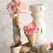 SET OF 6 Mini Rustic Birch Bark Flower Holder Cones Decor (item M10473)