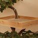 Mature (large) Cat Tree House