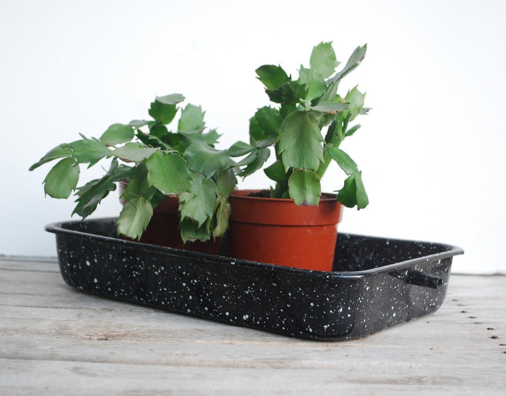 Black Splatterware Pan Enamelware with Spout Rectangular Laboratory Garden Greenhouse