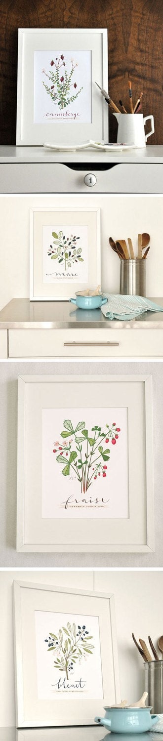 4 PETITS FRUITS - FRENCH -Culinary Art- Collection