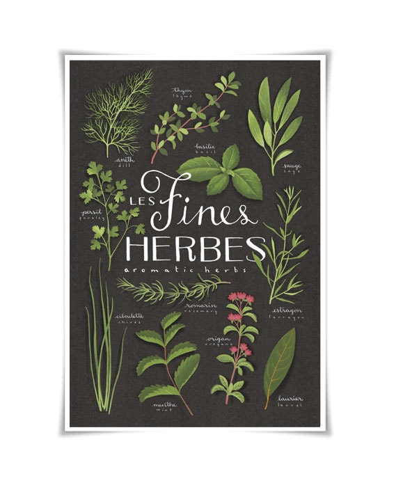 Fines herbes - Aromatics Culinary herbs bilingual print 13x19 - Botanical collection