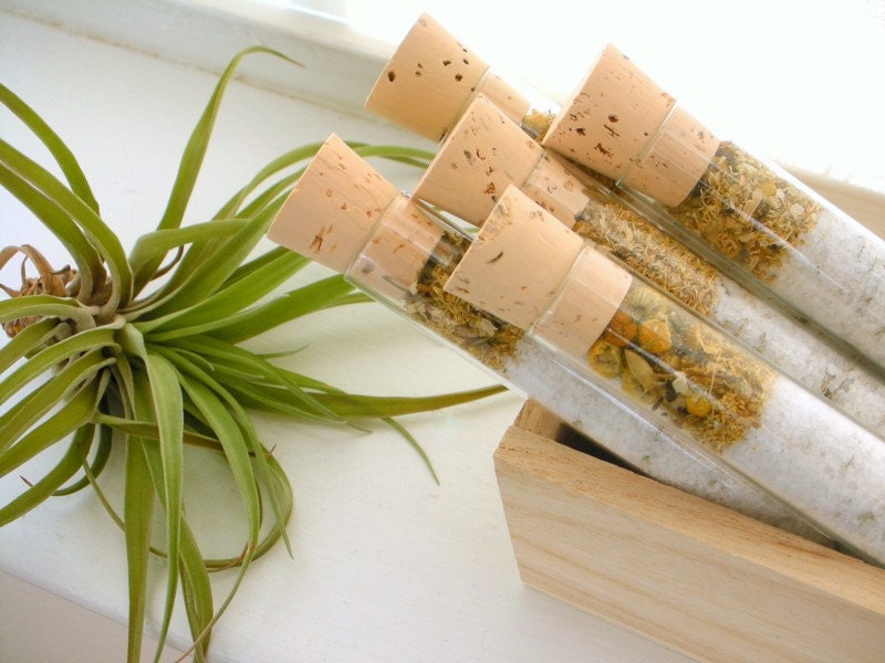 Organic & All Natural Chamomile Eucalyptus Herbal Bath Salt Test Tubes. (Thrive Bath Affirmations) Wedding, Spa, Luxury Gift Set