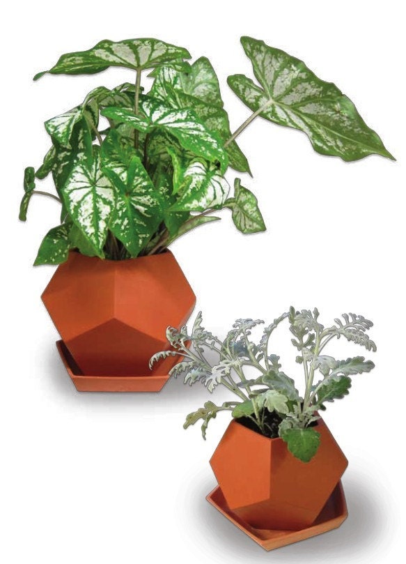 Geo Planter - large
