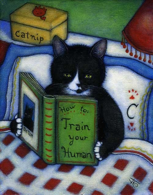 Tuxedo Cat cards. Charlie's How to Train your Human. Set of 5