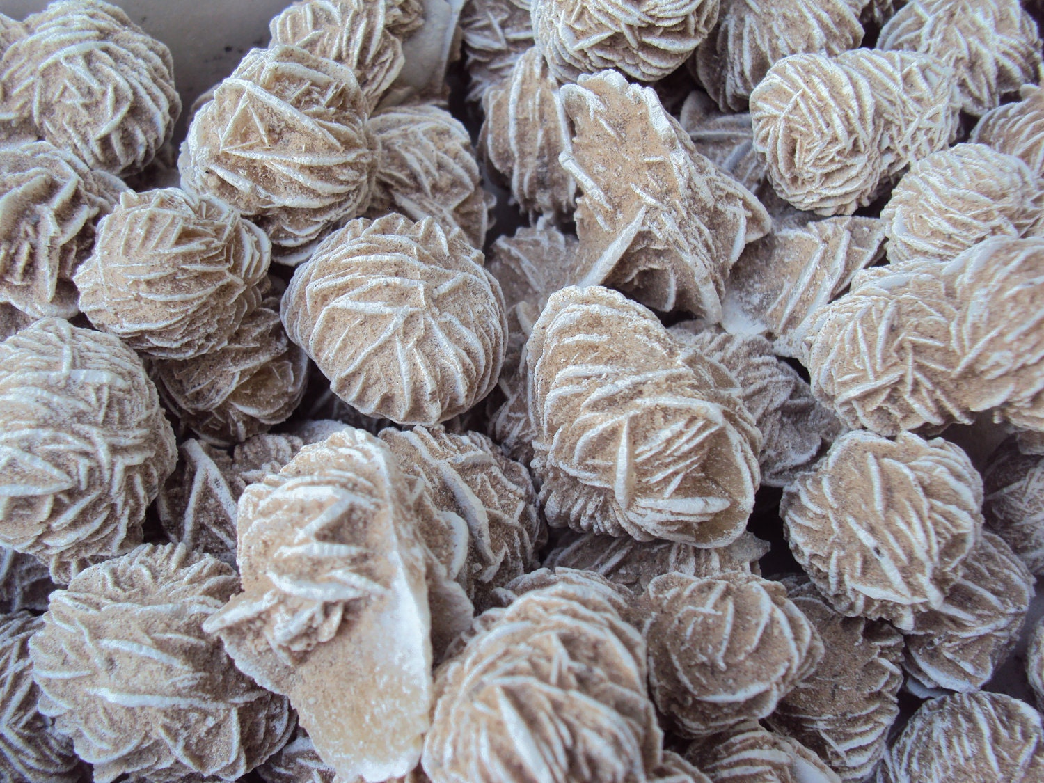 5 Selenite Desert Roses, Rough Gemstone Specimen, Gypsum and Barite Mineral, Metaphysical Jewelry Supplies, Natural Rock for Reiki Healing