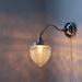 Sparkling Winters Ice - Stainless Steel Gooseneck Wall Sconce - Oak Tree Acorn Textured Shade - UpCycled BootsNGus Lighting Fixture