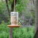 Mason Jar Bird Feeder - Hand Crafted Outdoor Hanging Food Post - Unique UpCycled BootsNGus Home and Garden Design