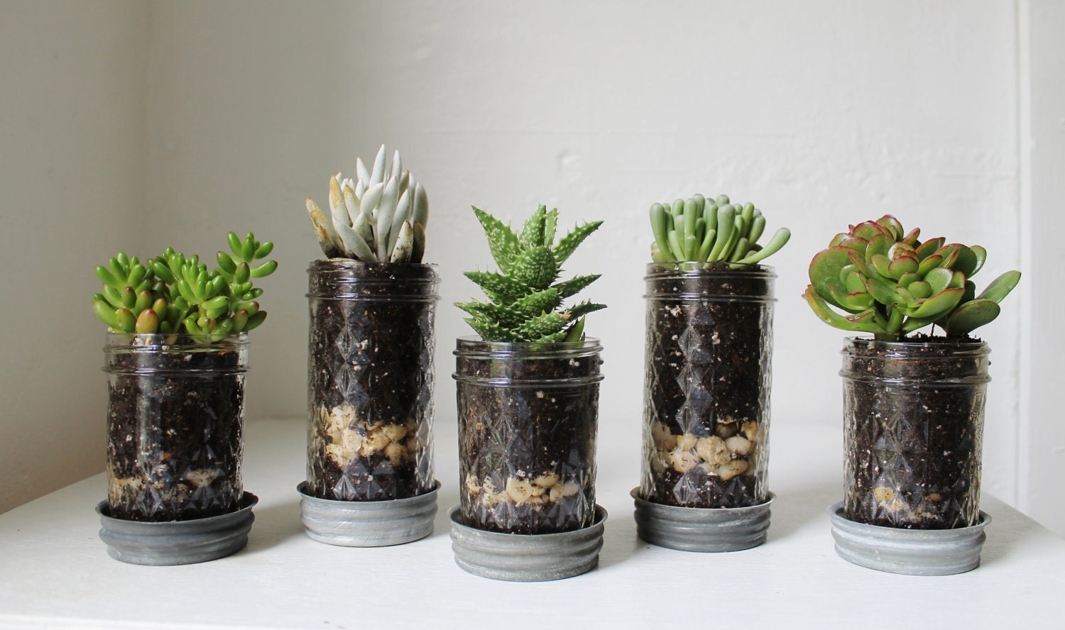 Mason Jar Planters with drainage - set of 5 - UpCycled Jelly Jar and Vintage Zinc Lid Saucer Plates - BootsNGus Home and Garden Glass Pots