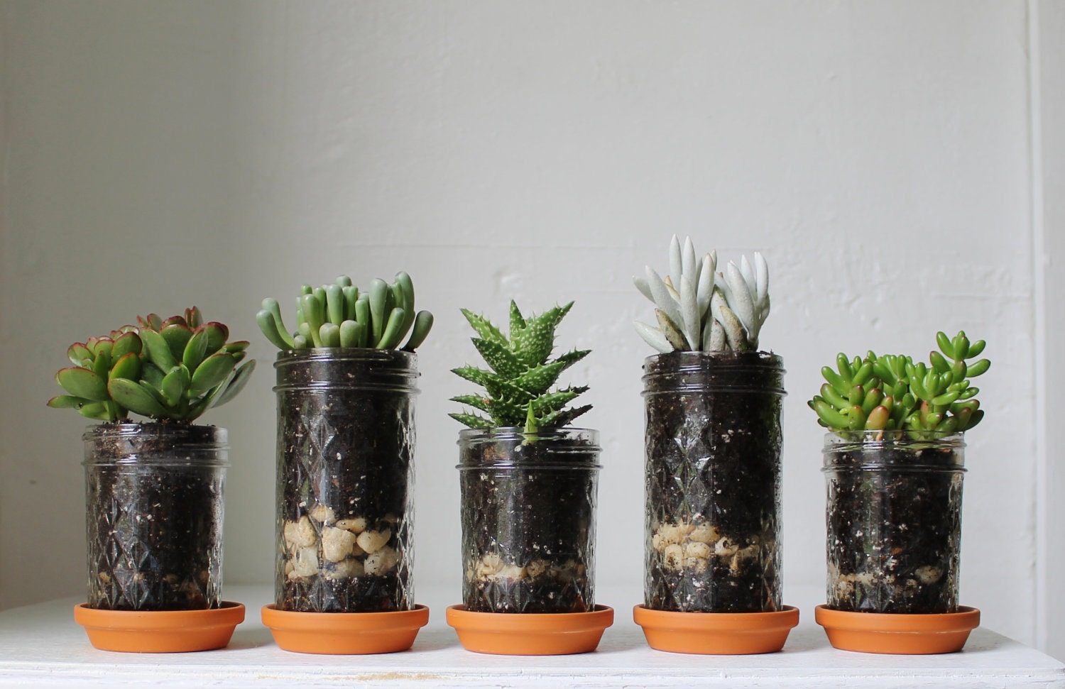 Mason Jar Planters with drainage - set of 5 - UpCycled Jelly Jar and Terra Cotta Saucer Plates - BootsNGus Home and Garden Glass Pots