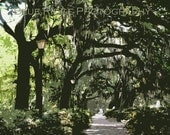 Forsyth Park in Savannah - 11 x 14  Artistic Poster Print