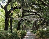 Forsyth Park in Savannah - 11 x 14 Fine Art Photography Print